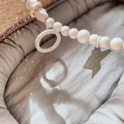 BEZISA Birds Wagenspanner Pistache Green -Babyproductenwinkel 8720618125453 1 9132