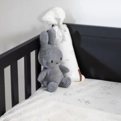 Europe Baby Ralph II Babybed Mat Zwart 60 X 120 Cm -Babyproductenwinkel europe baby ralph ii babybed mat zwart 60 x 120 cm 2 2 a946